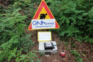 Indagini Sismiche di Tipo MASW e HVSR3